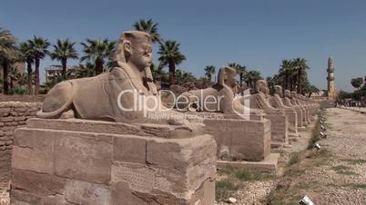 Sphinx Allee, Luxor Tempel, Ägypten