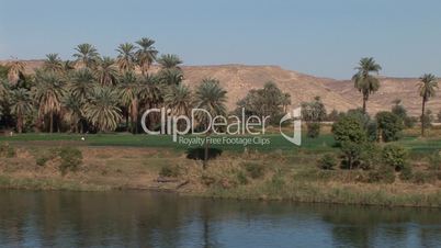 Nilufer, Ägypten