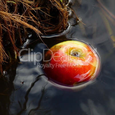 Canal Apple