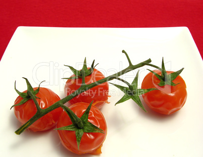 Gedämpfte Strauchtomaten an Zweig auf Teller arrangiert