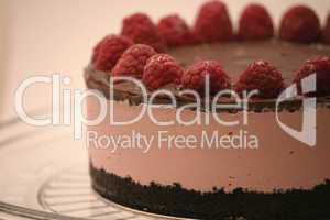 Chocolate Raspberry Ice Cream Cake