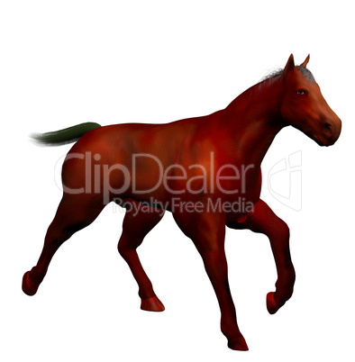 3D beautiful horse