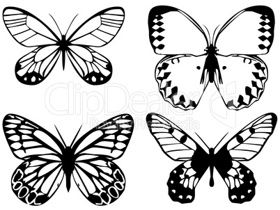 bright metal butterfly isolated on white