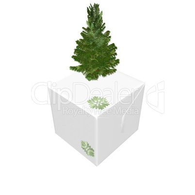 bare Christmas tree ready to decorate with gifts box