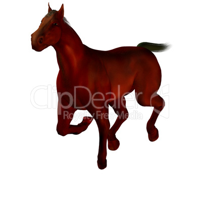 3D beautiful horse