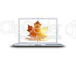 3D maple leaf on laptop