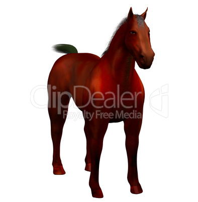 3D beautiful horse