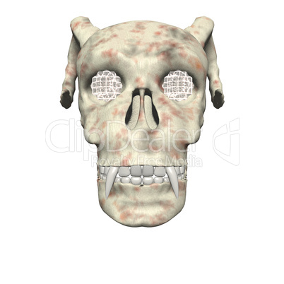 3D big realistic skull isolated on white