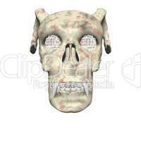 3D big realistic skull isolated on white