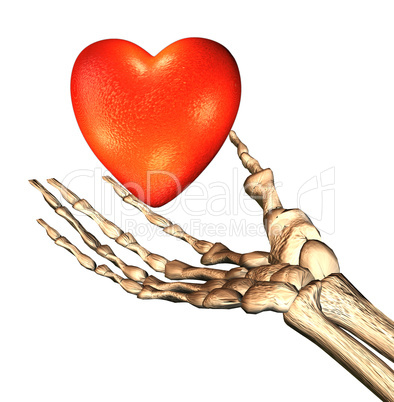 red 3D heart in bones hand