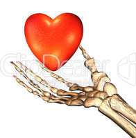 red 3D heart in bones hand
