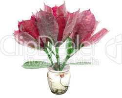 red rose in cool vase  isolated on white background