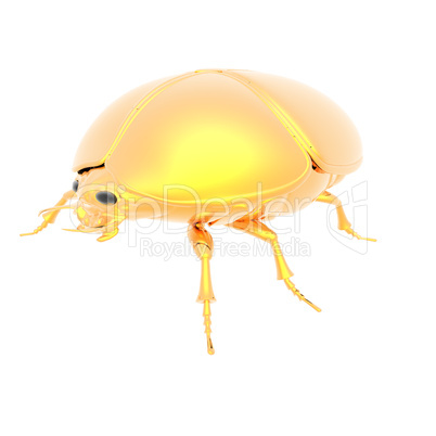 golden bug