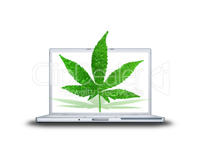 3D canabis leaf on laptop