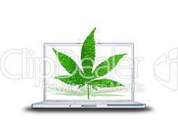 3D canabis leaf on laptop