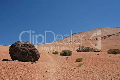 Teide-Ei im Teide-Nationalpark