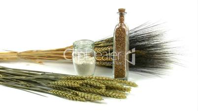 Wheat plants and products.