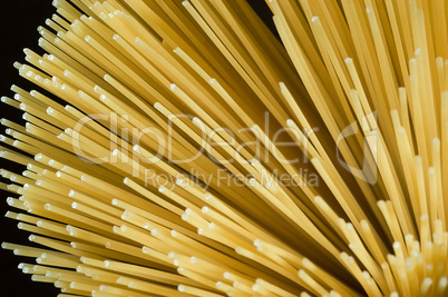 Spaghetti 06