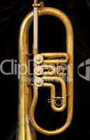 Trompete 4