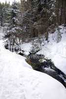 mountain creek in winter