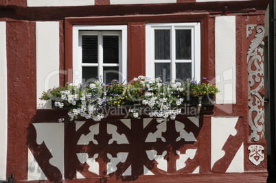 Blumenfenster in Ochsenfurt