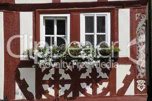 Blumenfenster in Ochsenfurt