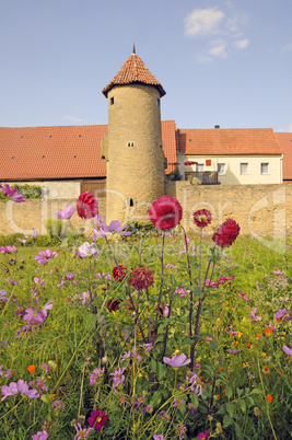 Blumen an der Stadtmauer in Mainbernheim