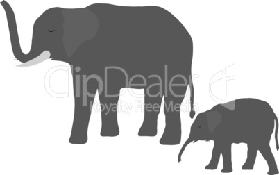 Elefantenkuh mit Jungem
