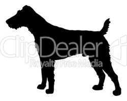 Schwarze Silhouette von einem Fox Terrier