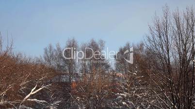 pan from winter trees to playground at sunny morning