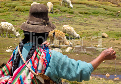 Frau mit Lama Herde in Peru / Woman with Lamas