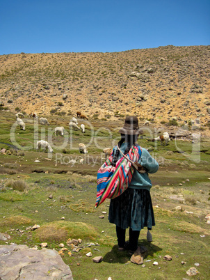 Lama Herde in Peru / Woman with Lamas (Peru)