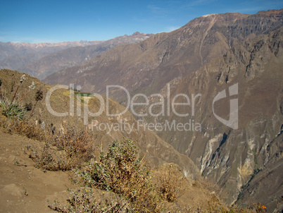Colca Canyon in Peru
