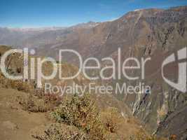 Colca Canyon in Peru