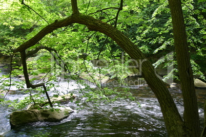 Bodetal (Harz)