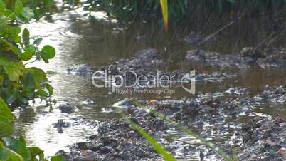 HD Rain water puddle, closeup