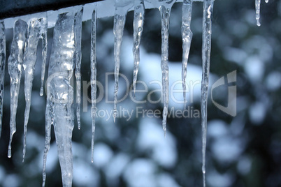 Eiszapfen,icicle