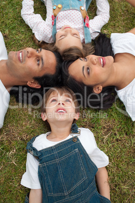 Lively family lying in a circle on the grass