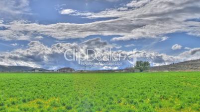 Clouds Field Panning
