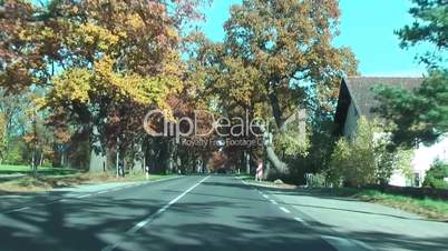 Fahrt auf sonniger Allee im Herbst