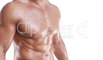 Muscular male torso isolated on white