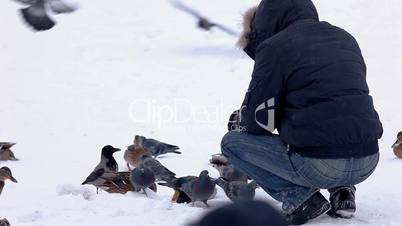 Man feed duck winter park