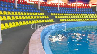 HD Dolphinarium before performance