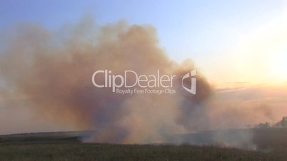 HD Smoke-screen from burning grass