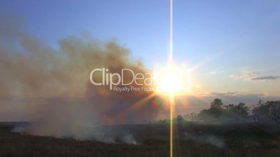 HD Smoke from burning grass at sunset
