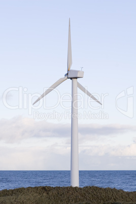 Harbor wind turbine