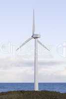 Harbor wind turbine