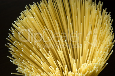 Spaghetti 04
