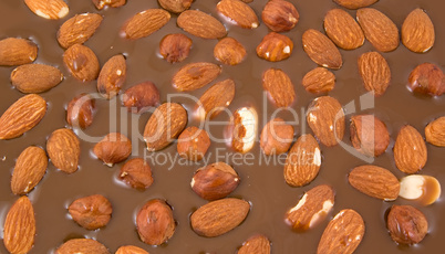 almonds and hazelnuts chokolate