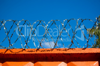 barbed wire